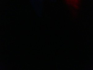 DSC02262