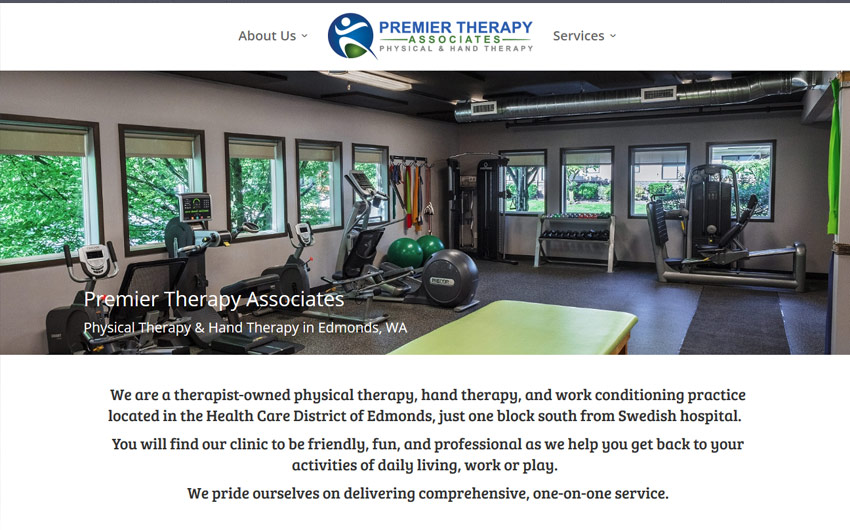 Premier Therapy Association home page